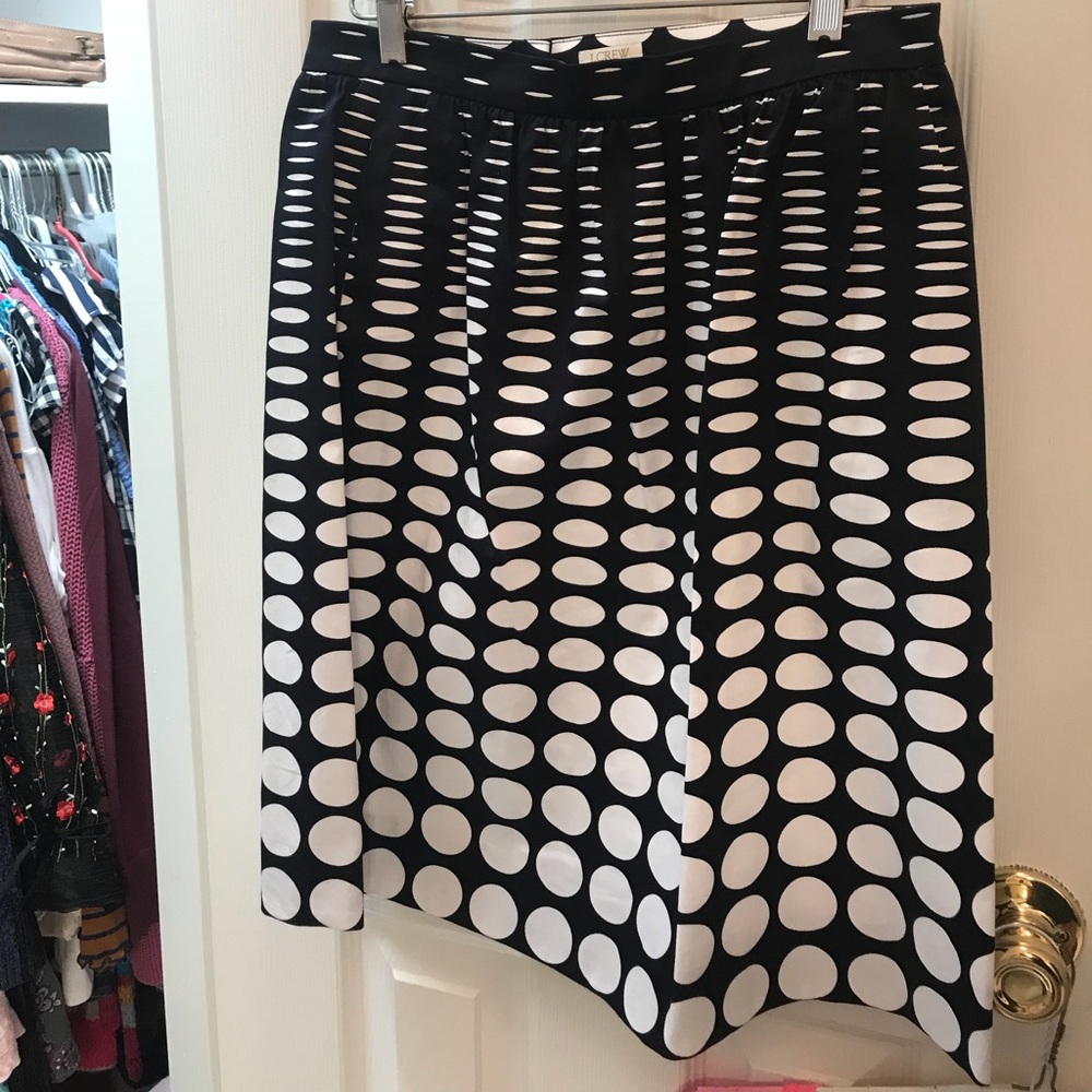 JCREW skirt